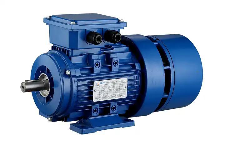 Revolutionizing Alamanuia Lelei: Le Si'itia o High Voltage Induction Motors