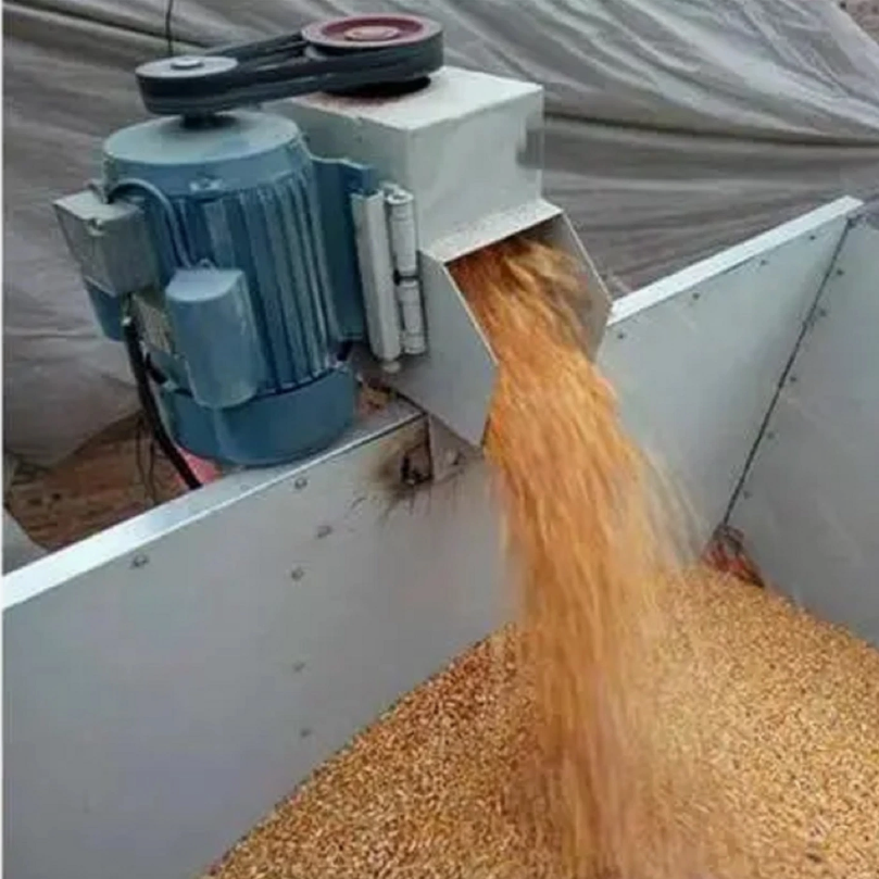 Otometi A'a Saito Sawdust Blower: Fa'afouina le Taulimaina o Mea i Fa'ato'aga ma Biomass Alamanuia