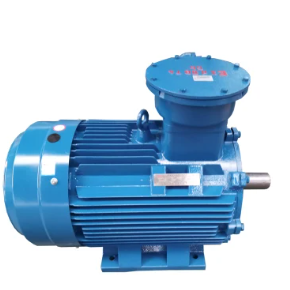 Squirrel Cage Explosion Proof AC Motor Induction: O le a le mea e fai ai le filifiliga sili mo siosiomaga mataʻutia