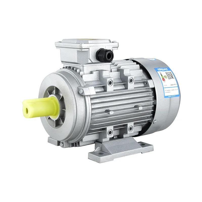 Aisea e taua ai le Top-Notch AC Asynchronous Motor mo Talosaga Alamanuia Fa'aonaponei