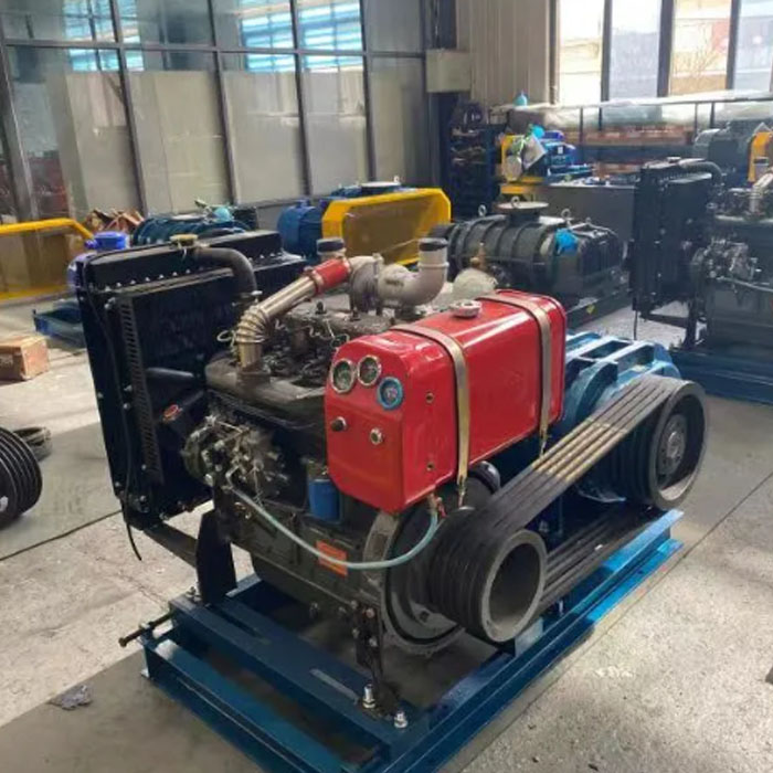 Diesel Low Pressure Roots Ituaiga Blower