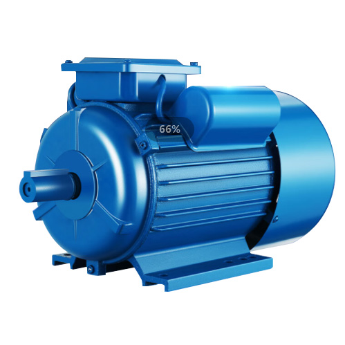 Maualuluga Voltage 6KV Induction Motor