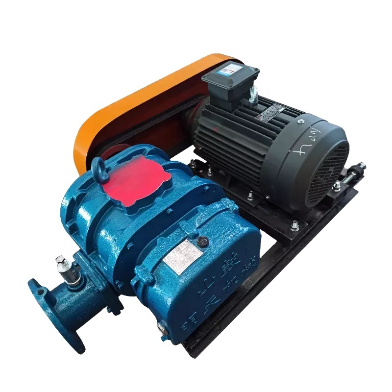 Roots Blower Vacuum Pum